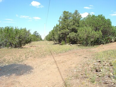 North View from northside driveway.