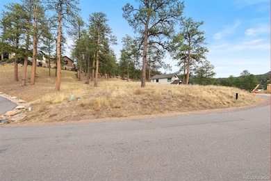 5236 Mountain Vista Ln unit 5, Evergreen, CO 80439 - photo 5