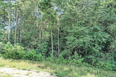 0 Red Hawk Rd unit 24641691, Huntsville, TX 77340 - photo 6