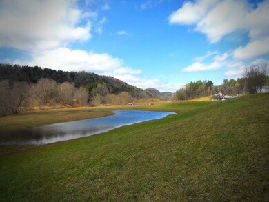 63 Second Branch Ln, Randolph Center, VT 05061 - photo 3