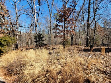 0 Kirkbridge Ln, Bella Vista, AR 72714 - photo 5