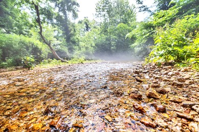 8318 Sinking Creek Rd, Linden, TN 37096 - photo 2