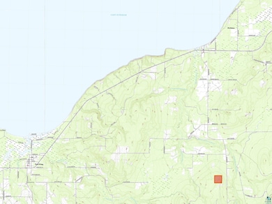 40 Acres Near Lenawee Rd, Clover, WI 54844 - photo 3