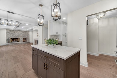 967 W Bauer Rd, Naperville, IL 60563 - photo 6