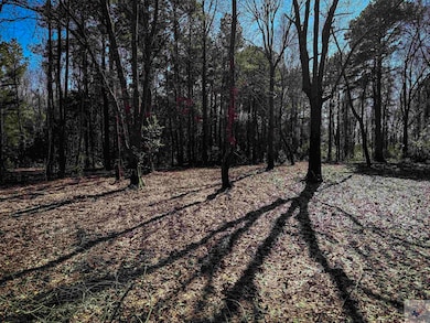 TBD Old Blackman Ferry Rd, Texarkana, AR 71854 - photo 6