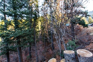 165 Paradise Road Park City UT-002-001-P
