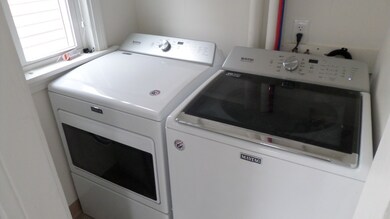 155 L St unit 2, Boston, MA 02127 - photo 5