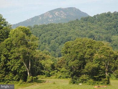 0 F T Valley Rd unit 1003382300, Sperryville, VA 22740 - photo 4