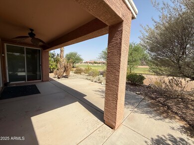 Back yard 2