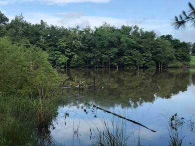 000 Leahs Row, Ambrose, GA 31512 - photo 5