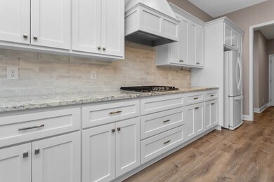 Granite counters, 5-burner gas cooktop