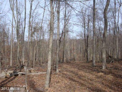 77 Driftwood Dr, Gerrardstown, WV 25420 - photo 4