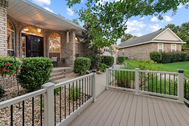 305GreyFoxCir-50