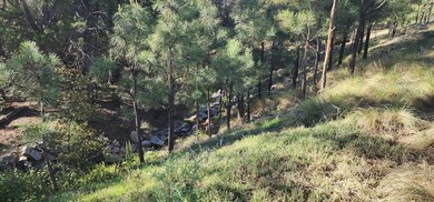 0 E Phoenix St, Payson, AZ 85541 - photo 2