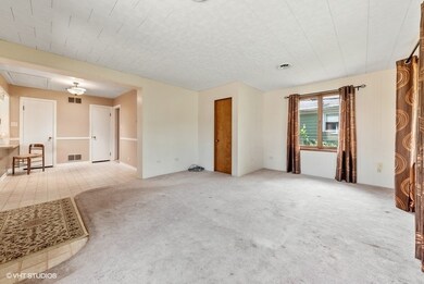 884 S 3rd Ave, Des Plaines, IL 60016 - photo 6
