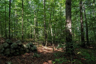 10,000 sq ft lot with water access