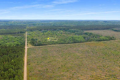 0 Forest 1628 Rd unit 50316410, Crivitz, WI 54114 - photo 4