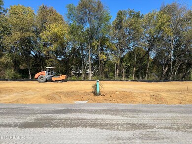 Backyard view, Phase 3 perimeter units