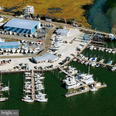 704 Old Avalon Blvd, Avalon, NJ 08202 - photo 2