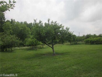 Other. Apple Orchard