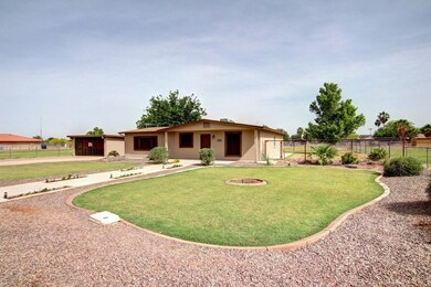 REDFIELD (1)