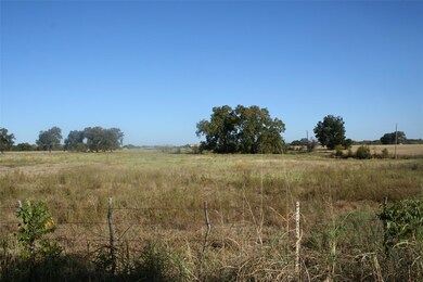 View of local wilderness with a rural view
