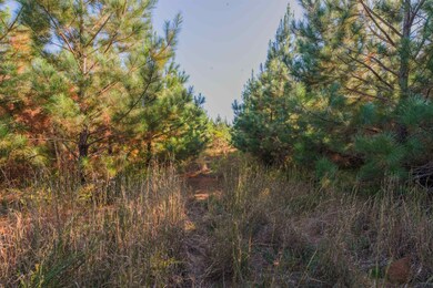 000 Quarter Round Rd, Pacolet, SC 29372 - photo 4