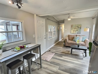 36 Long Dr, Windham, CT 06256 - photo 5