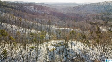 5325 Union T Rd, Talladega, AL 35160 - photo 2