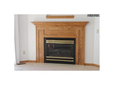 Cozy Gas Fireplace