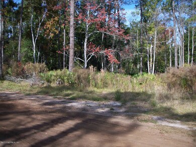 Front Buildable Section of Property