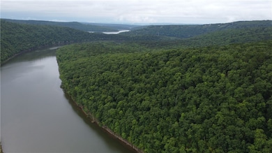 TBD Mayhand Rd, Shirley, AR 72153 - photo 4