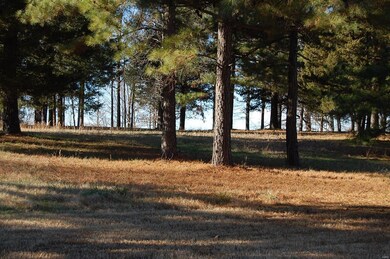 0Lot3 W Highland Cir, Poplar Bluff, MO 63901 - photo 4