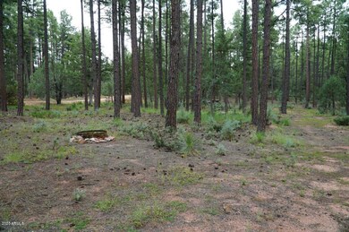 21B N Wild Oak Dr unit 20, Payson, AZ 85541 - photo 7