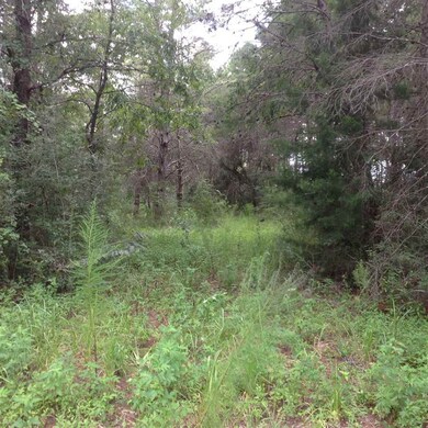 0 Seameadows Dr unit 274143, Perry, FL 32348 - photo 6