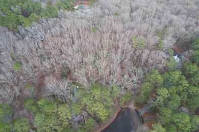 Lot # 28 Lauren Ct, Pittsboro, NC 27312 - photo 7