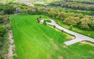 4407 Preservation Ct, Johnsburg, IL 60051 - photo 3