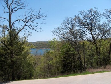 115 Whippoorwill Hollow, Kimberling City, MO 65686 - photo 3