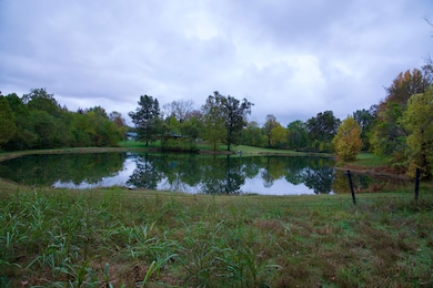 8788 John Steele Rd, Corydon, KY 42406 - photo 2