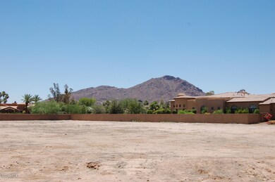 SW View