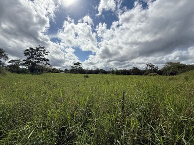 880 Ainalako Rd, Hilo, HI 96720 - photo 6