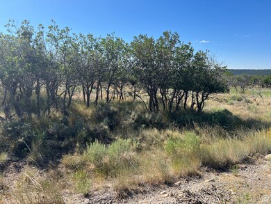 32 N Porcupine, La Sal, UT 84530 - photo 4