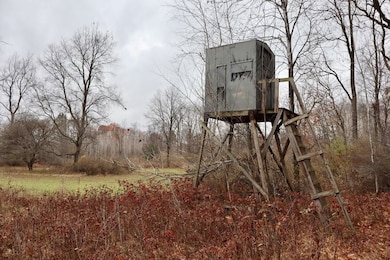 V L Hatton Rd, Farwell, MI 48622 - photo 7