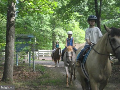 115 Sand Trap Ln, Locust Grove, VA 22508 - photo 4