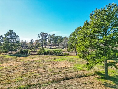 TBD Baker Dr, Tomball, TX 77375 - photo 2