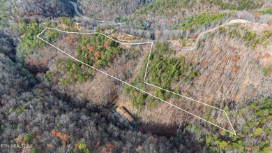 DJI_20241213123051_0037_D-Edit