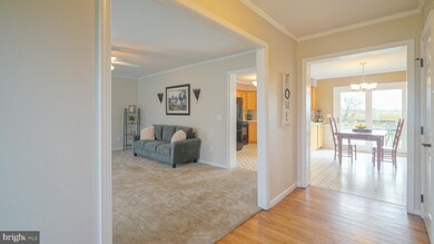 137 Hilltop Dr, Chestertown, MD 21620 - photo 6