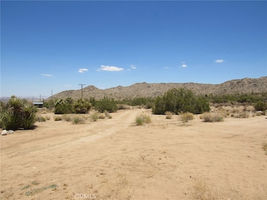 Looking to the northeast form the north side of the house.