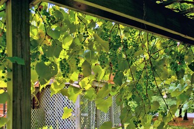 61 Revere Rd, Woburn, MA 01801 - photo 6