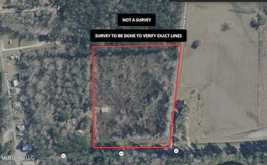 10.19 Acre Mississippi 43 N, Poplarville, MS 39470 - photo 2